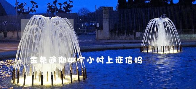 金条逾期4个小时上征信吗 金条逾期4个小时上征信吗