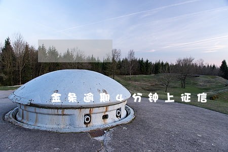 金条逾期4分钟上征信