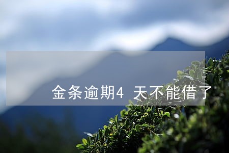 金条逾期4天不能借了 金条逾期4天不能借了