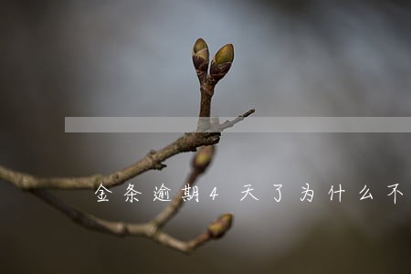 金条逾期4天了为什么不能借钱 金条逾期4天了为什么不能借钱