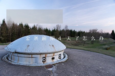 金条逾期4天了怎么办 金条逾期4天了怎么办