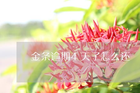 金条逾期4天了怎么还 金条逾期4天了怎么还