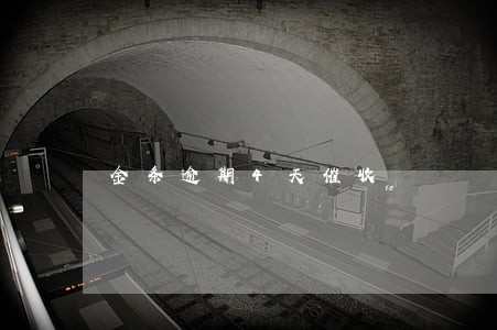 金条逾期4天催收