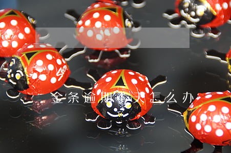 金条逾期4天怎么办