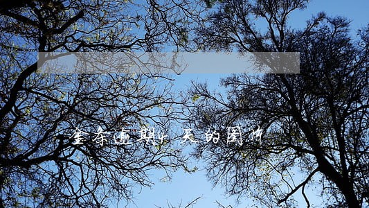 金条逾期4天的图片 金条逾期4天的图片