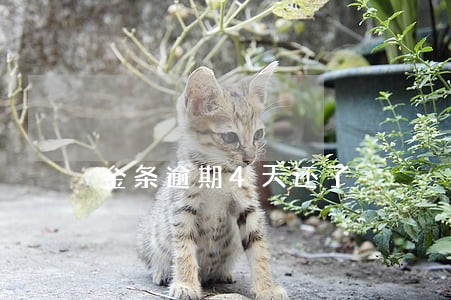 金条逾期4天还了 金条逾期4天还了
