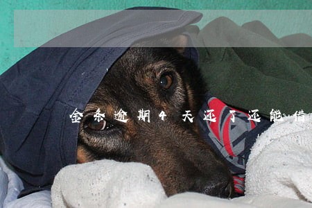 金条逾期4天还了还能借吗 金条逾期4天还了还能借吗
