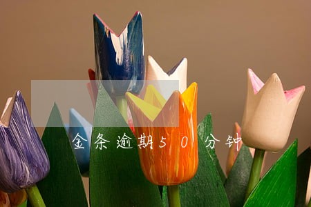 金条逾期50分钟 金条逾期50分钟