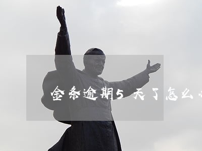金条逾期5天了怎么办 金条逾期5天了怎么办
