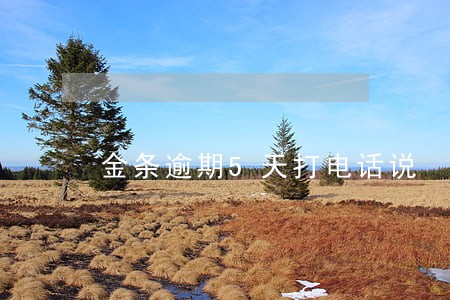 金条逾期5天打电话说 金条逾期5天打电话说