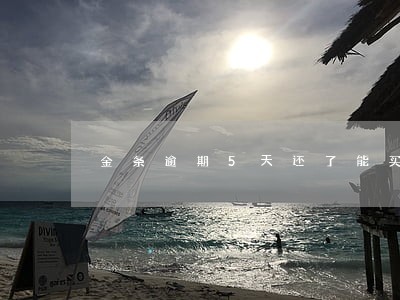 金条逾期5天还了能买火车票吗 金条逾期5天还了能买火车票吗