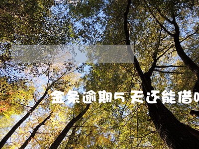 金条逾期5天还能借吗 金条逾期5天还能借吗