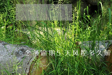 金条逾期5天风控多久解除 金条逾期5天风控多久解除