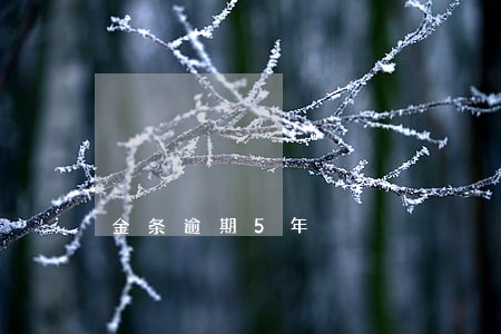 金条逾期5年 金条逾期5年
