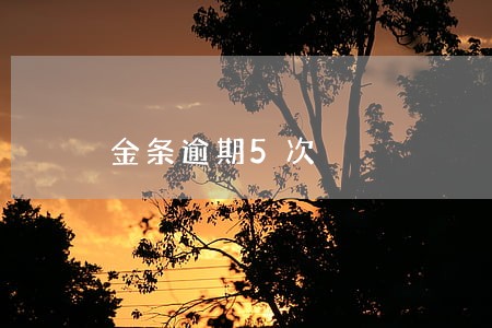 金条逾期5次 金条逾期5次