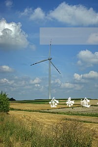 金条逾期600