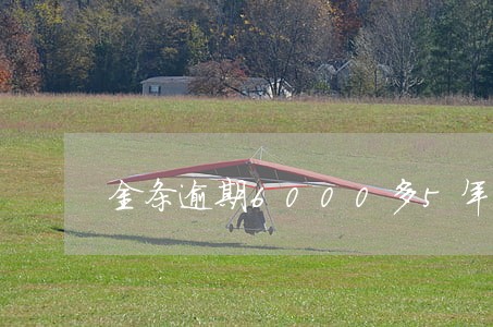 金条逾期6000多5年不还 金条逾期6000多5年不还