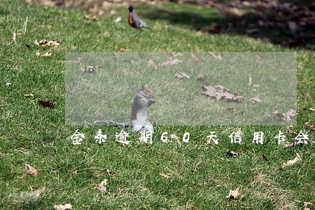 金条逾期60天信用卡会冻结吗 金条逾期60天信用卡会冻结吗