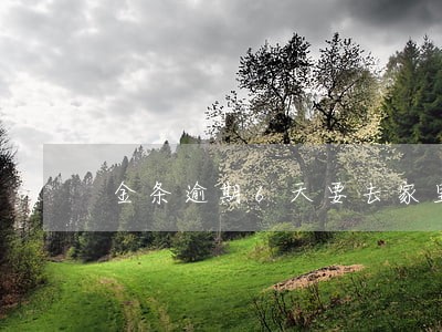 金条逾期6天要去家里 金条逾期6天要去家里