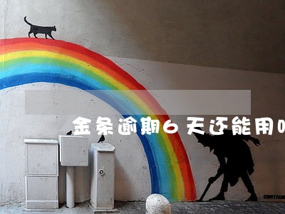金条逾期6天还能用吗 金条逾期6天还能用吗