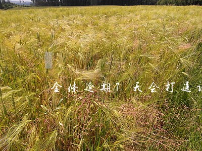 金条逾期7天会打通讯录么 金条逾期7天会打通讯录么