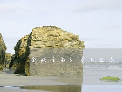 金条逾期8万怎么办 金条逾期8万怎么办