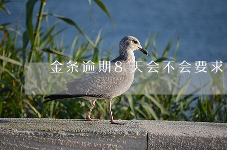 金条逾期8天会不会要求全额还款 金条逾期8天会不会要求全额还款