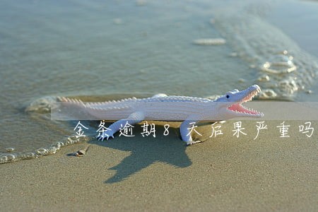 金条逾期8天后果严重吗