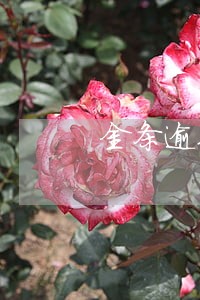 金条逾期90 金条逾期90