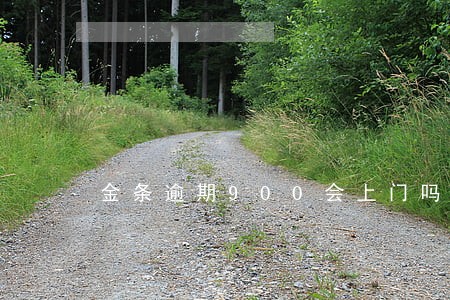 金条逾期900会上门吗 金条逾期900会上门吗