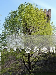 金条逾期90多怎么办 金条逾期90多怎么办