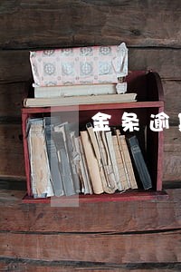 金条逾期92天 金条逾期92天