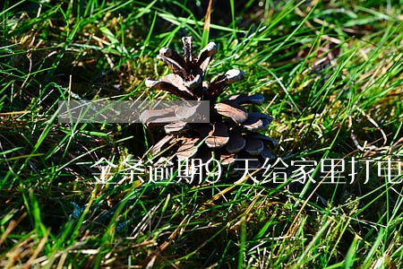 金条逾期9天给家里打电话吗 金条逾期9天给家里打电话吗