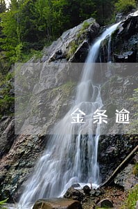 金条逾期一万
