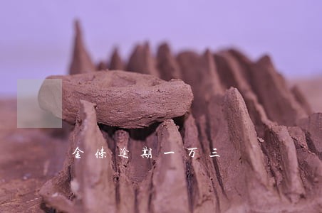 金条逾期一万三 金条逾期一万三