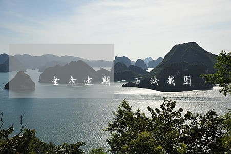 金条逾期一万块截图 金条逾期一万块截图