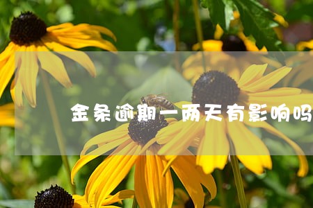 金条逾期一两天有影响吗