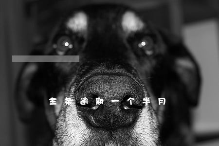 金条逾期一个半月 金条逾期一个半月
