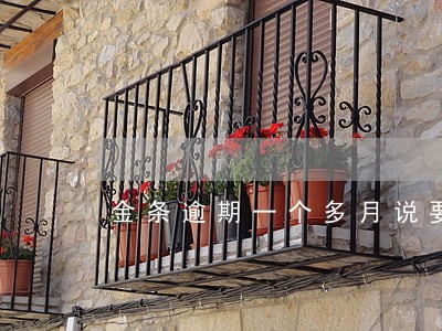 金条逾期一个多月说要报案 金条逾期一个多月说要报案