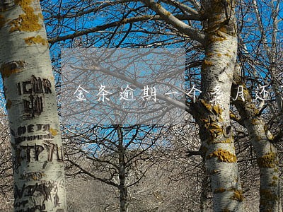 金条逾期一个多月还了一部分 金条逾期一个多月还了一部分