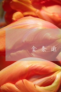 金条逾期一个小时有事吗