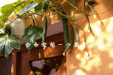 金条逾期一个星期会怎样