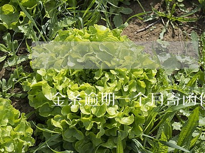 金条逾期一个月寄函件 金条逾期一个月寄函件
