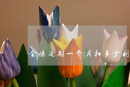 金条逾期一个月扣多少利息 金条逾期一个月扣多少利息