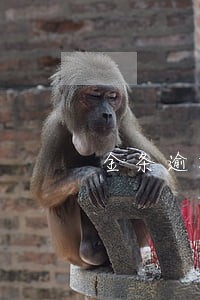 金条逾期一个月被联合办案了 金条逾期一个月被联合办案了