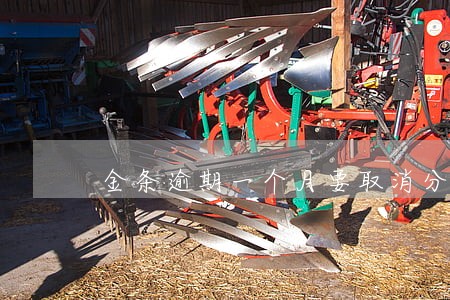 金条逾期一个月要取消分期吗 金条逾期一个月要取消分期吗