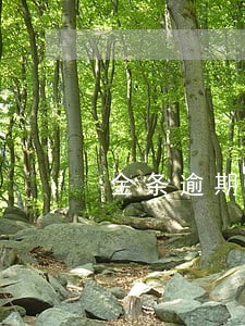 金条逾期一个月说我诈骗 金条逾期一个月说我诈骗