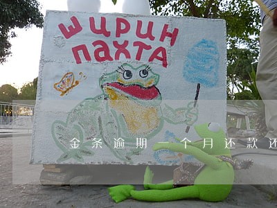 金条逾期一个月还款还可以借钱吗 金条逾期一个月还款还可以借钱吗