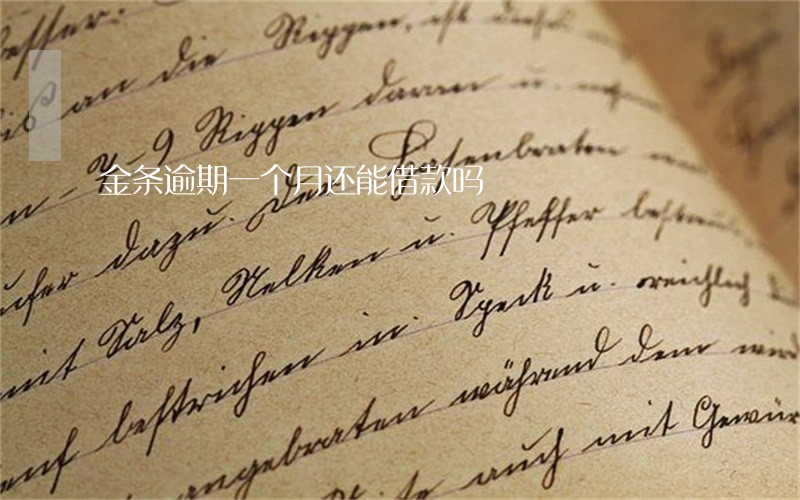 金条逾期一个月还能借款吗