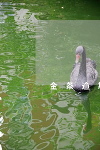 金条逾期一个月通知还款